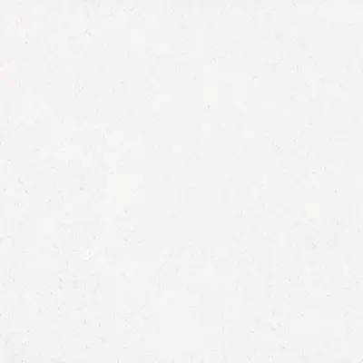 Iceberg