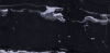 Bianco Nero