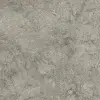 Vegha