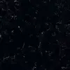 Hygassos