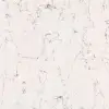 White Arabesque