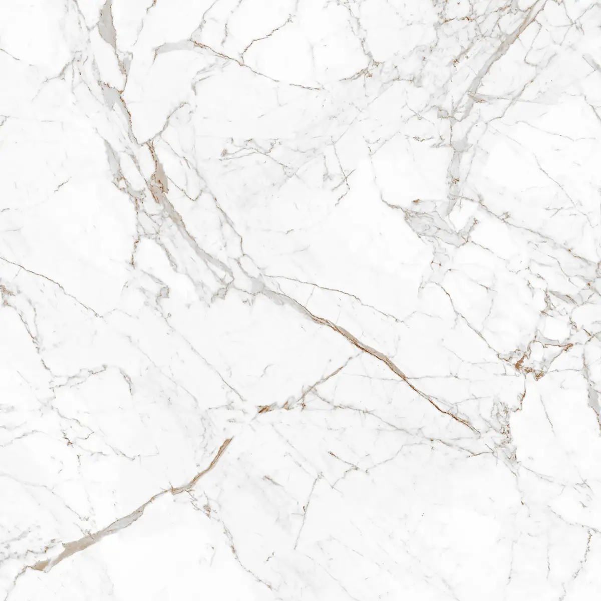 Calacatta Claire Grey