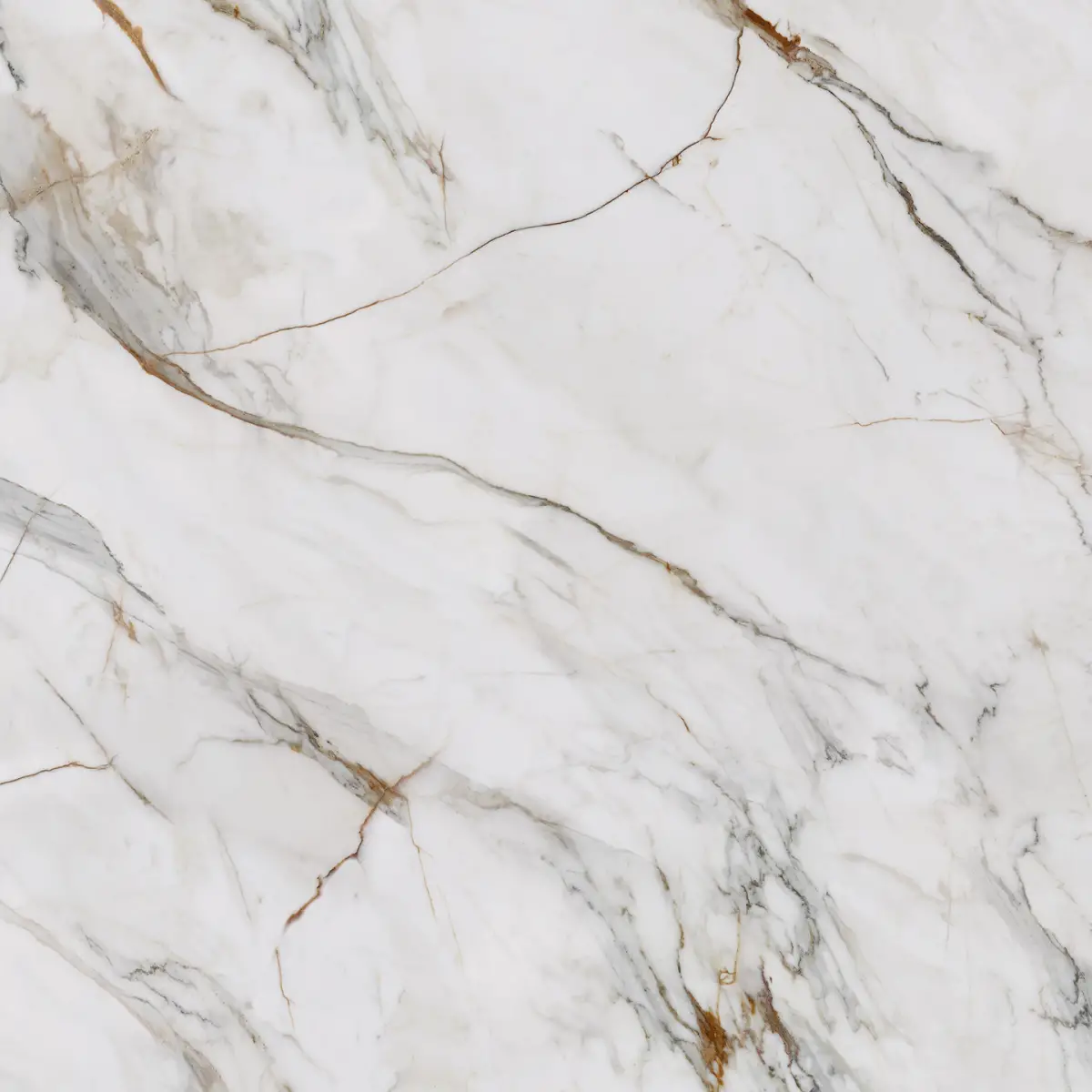 Calacatta Florance Gold