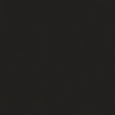 Absolute Black Porselen